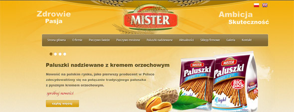 strony flash kielce