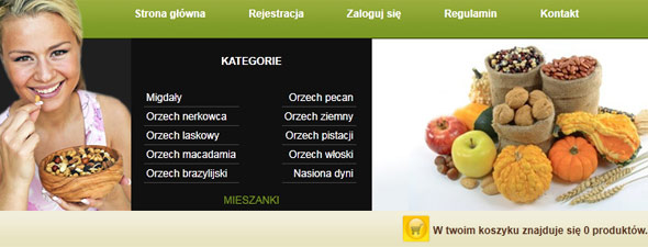 strony internetowe www kielce
